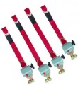 FF627-4C,  (4 belts) L SERIES 4 CRANK TIEDOWN, Buckle Style